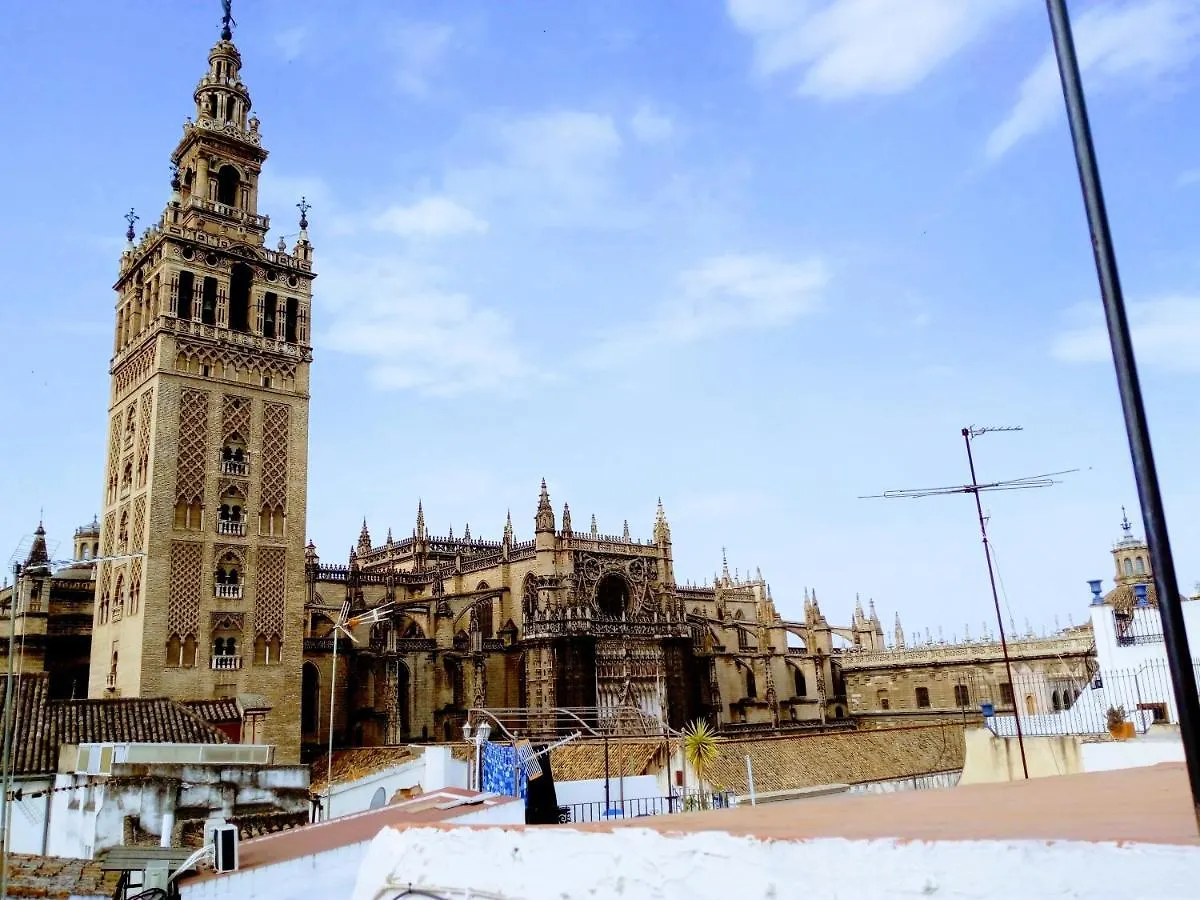 ¡En Frente De La Giralda-Catedral! Apartment Seville